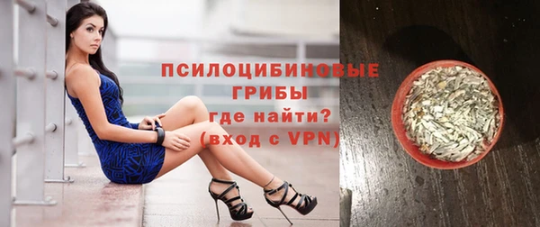 PSILOCYBIN Покров