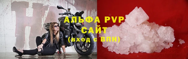 прущие грибы Абдулино
