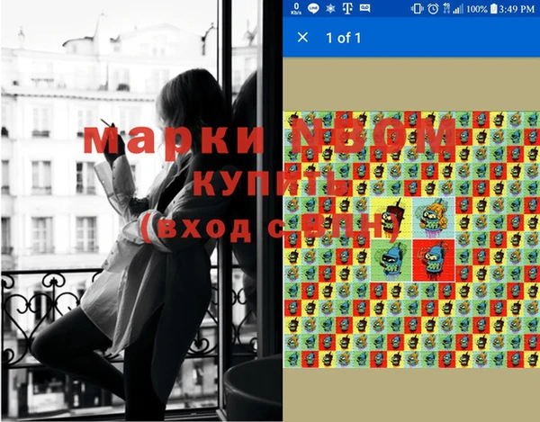 прущие грибы Абдулино
