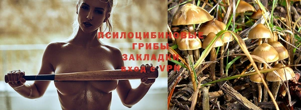 прущие грибы Абдулино