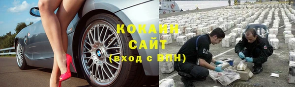 прущие грибы Абдулино